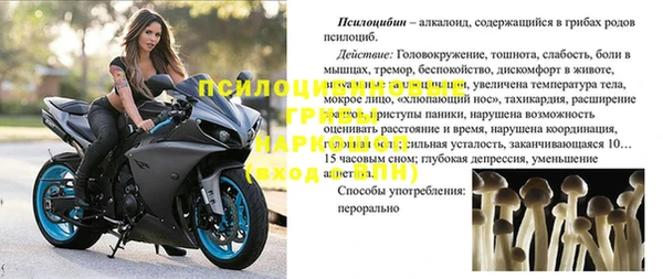 мет Нефтекумск