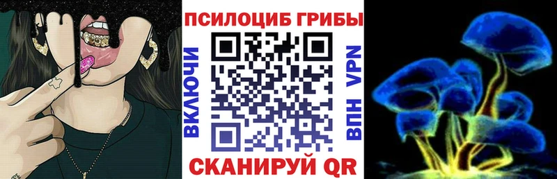Галлюциногенные грибы Psilocybe  Спасск-Рязанский 